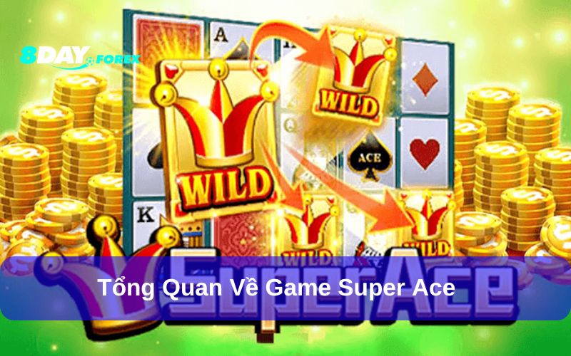 Tại sao nên chơi Super ACE tại nền tảng 8day?