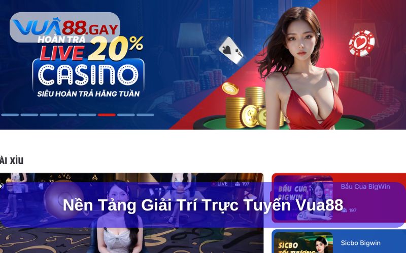 Tổng quan về nền tảng cá cược Vua88